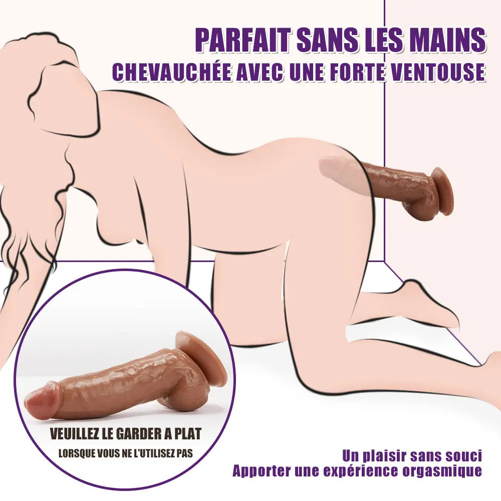 Gode Réaliste Anal 22 CM ventouse Fondlove Fondlove